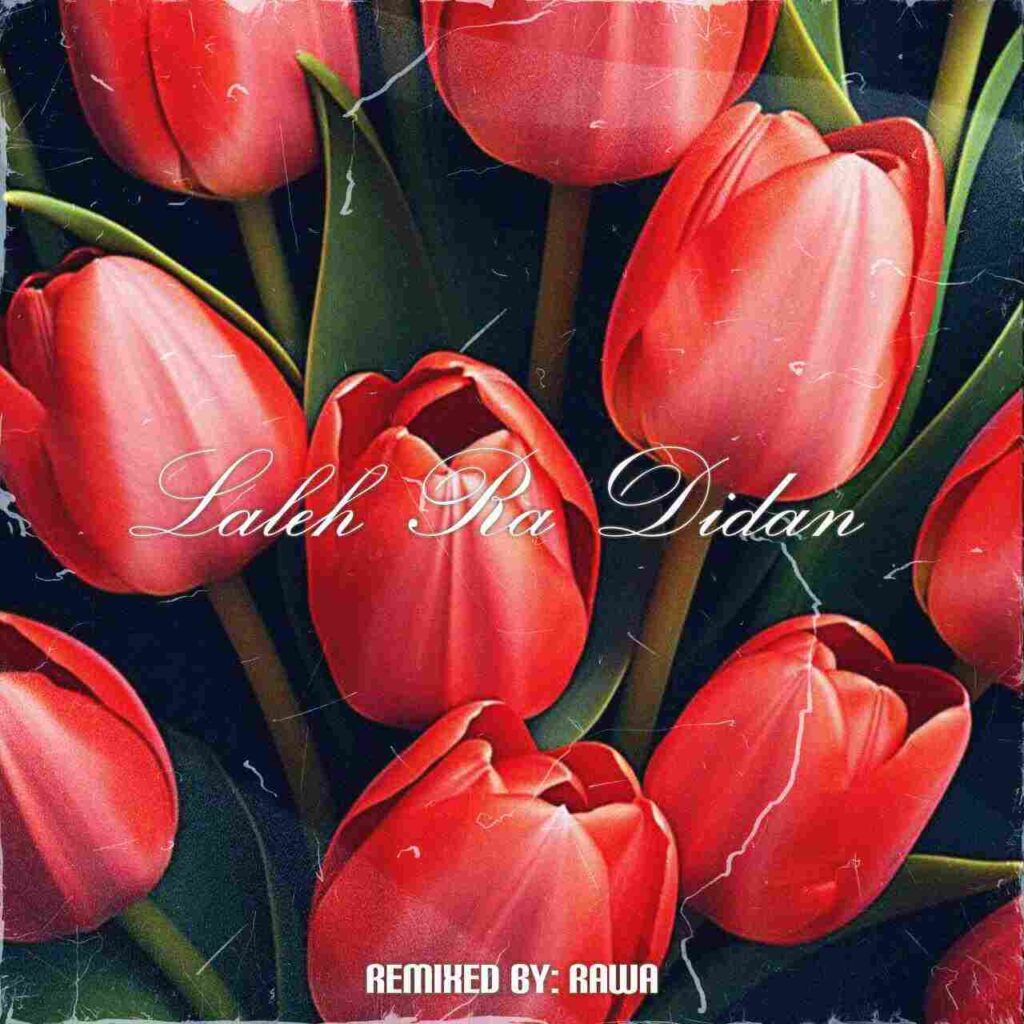 Laleh Ra Didan Remixed By Rawa